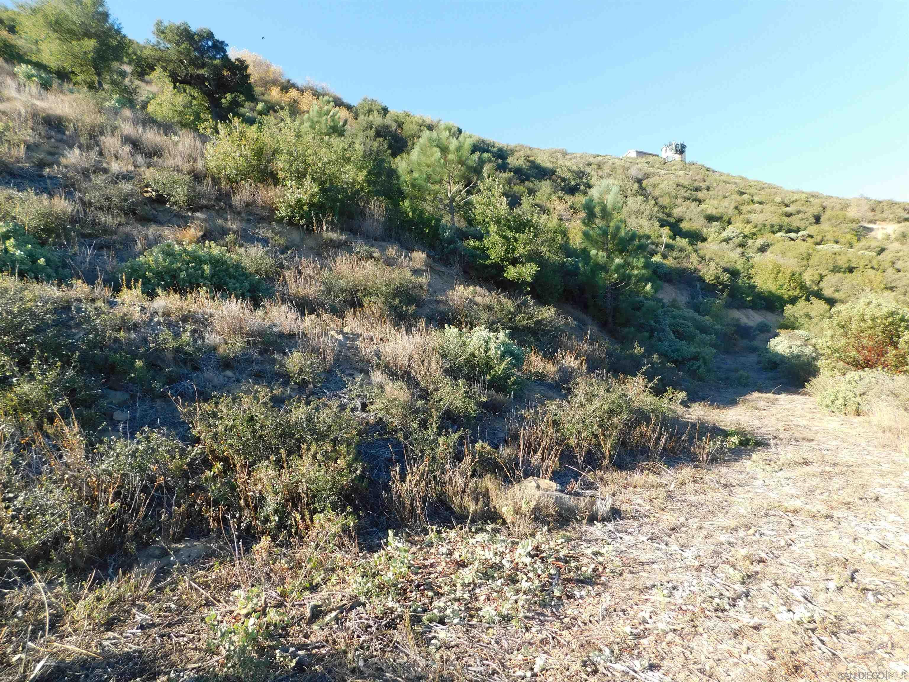 1 Mountain View Drive Julian, CA 92036 - Photo 5 of 18 a view of a dry yard with lots of bushes
