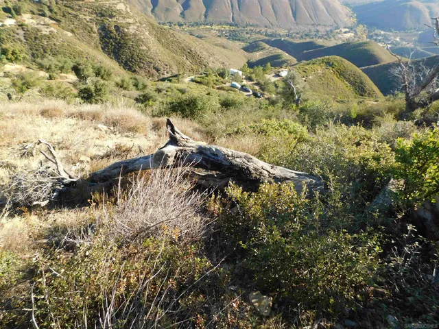 a view of a mountain range with trees in the background
