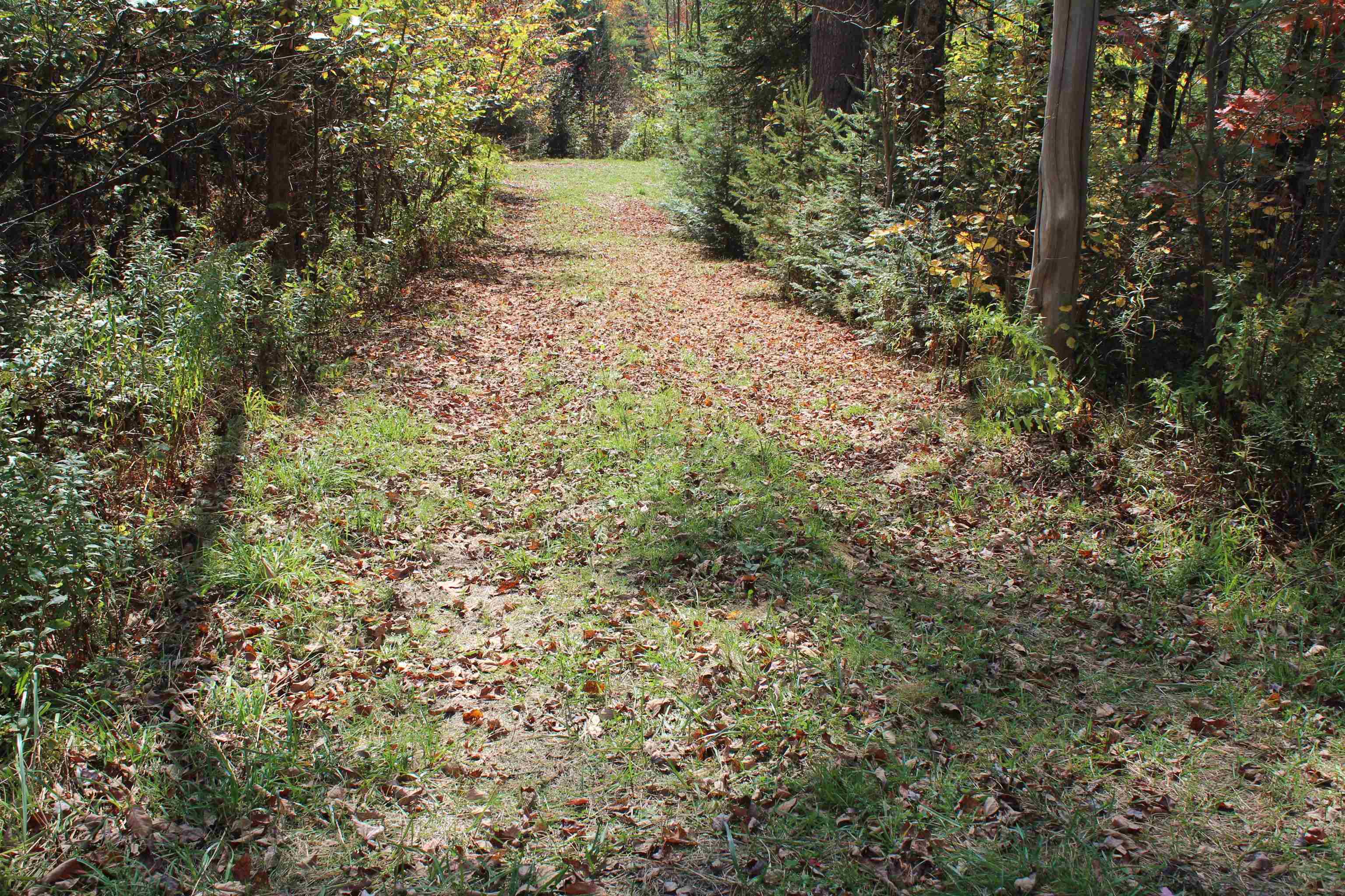 0 Miles Pond Road North Concord, VT 05858 - Photo 11 of 18