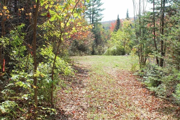 $85,000 | 0 Miles Pond Road, North Concord, VT 05858