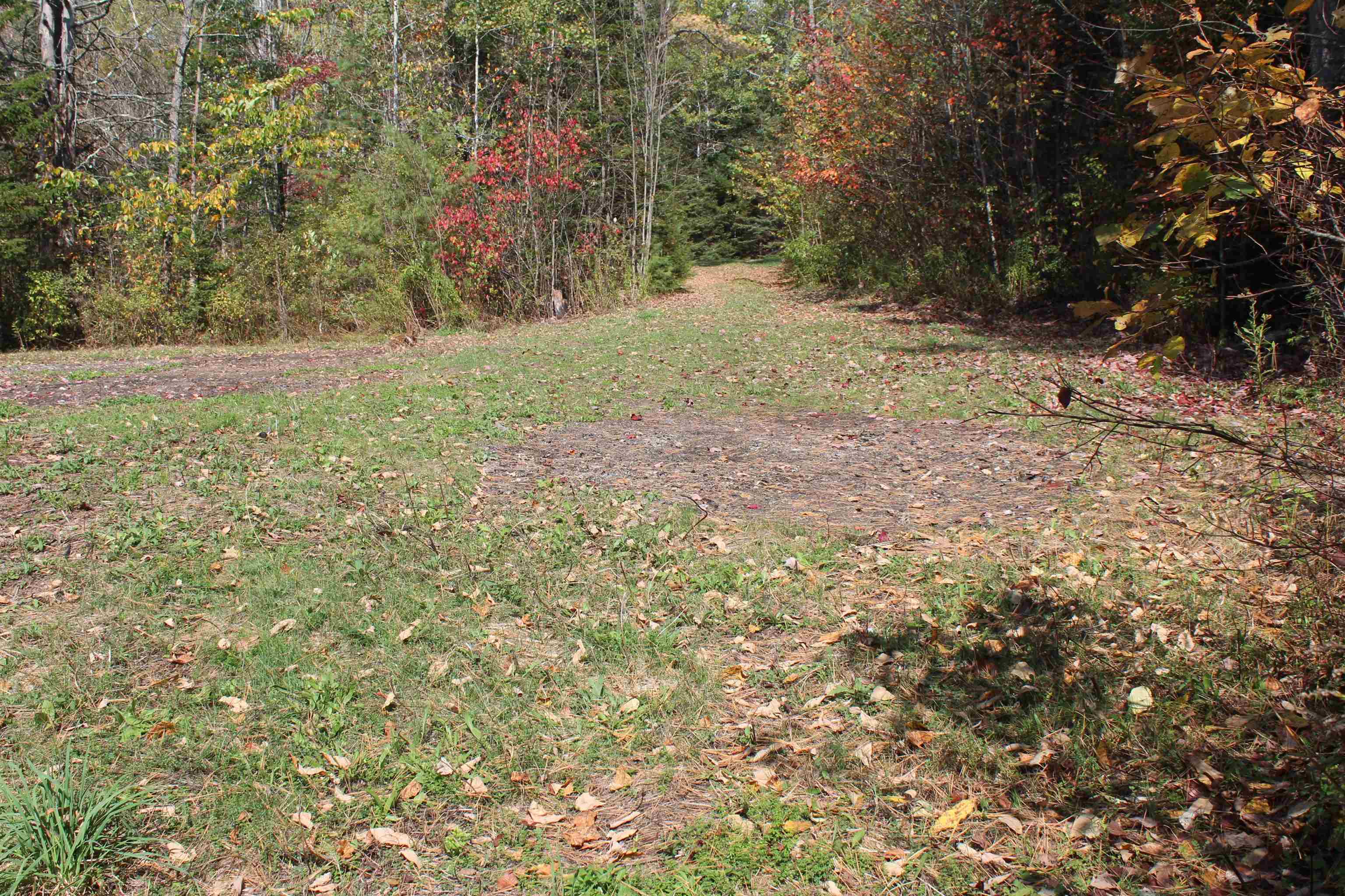0 Miles Pond Road North Concord, VT 05858 - Photo 15 of 18