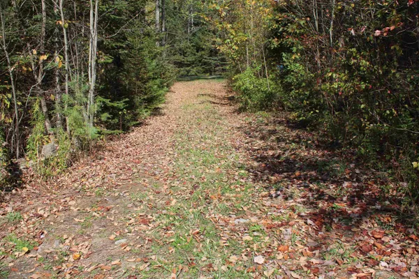 $85,000 | 0 Miles Pond Road, North Concord, VT 05858