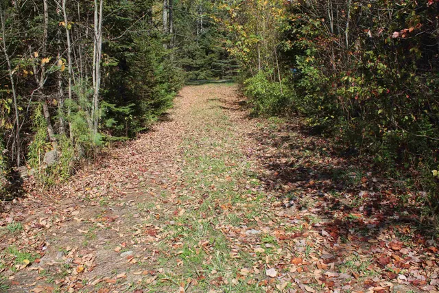 $85,000 | 0 Miles Pond Road, North Concord, VT 05858