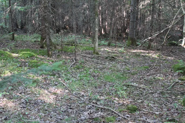 $85,000 | 0 Miles Pond Road, North Concord, VT 05858