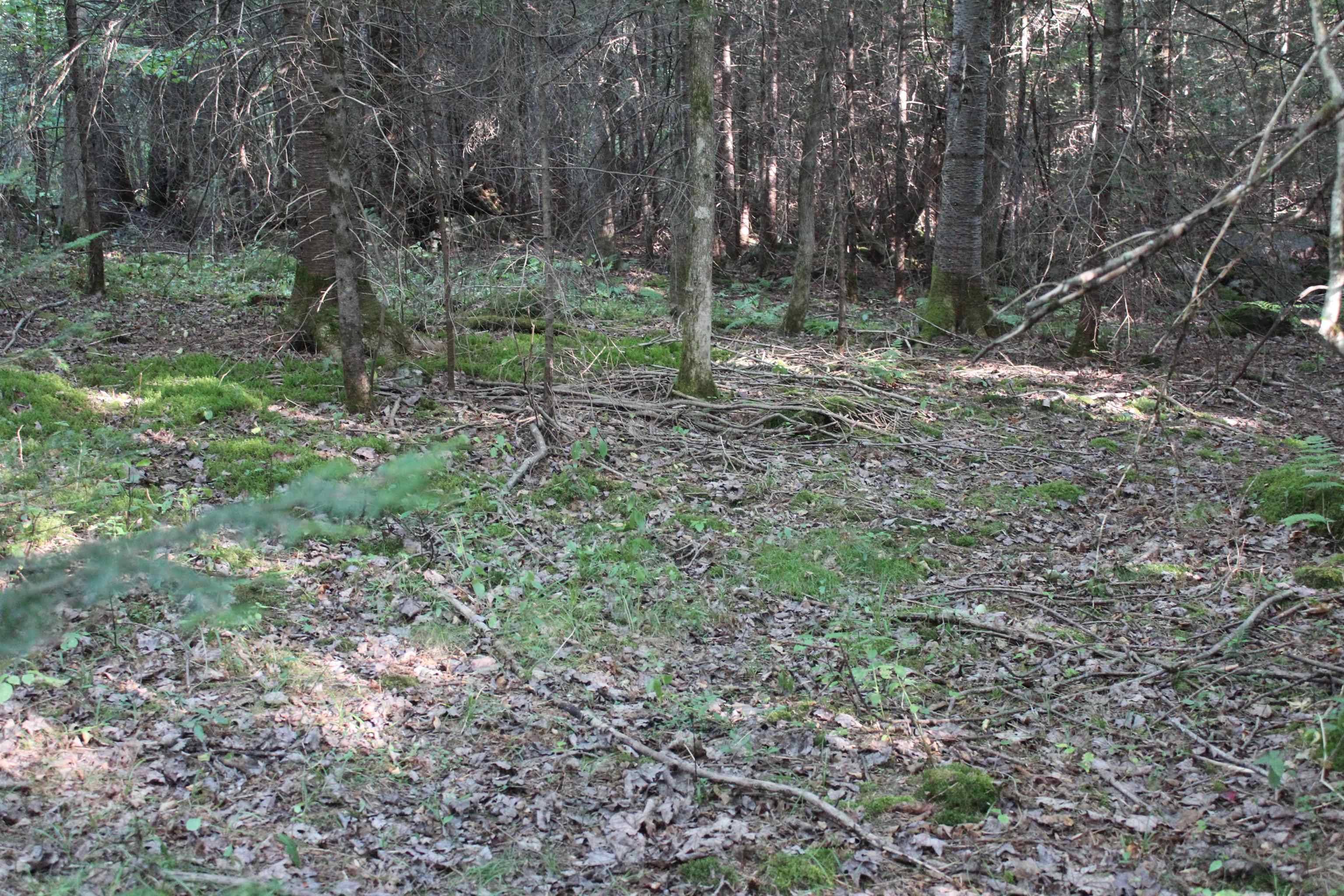 0 Miles Pond Road North Concord, VT 05858 - Photo 3 of 18