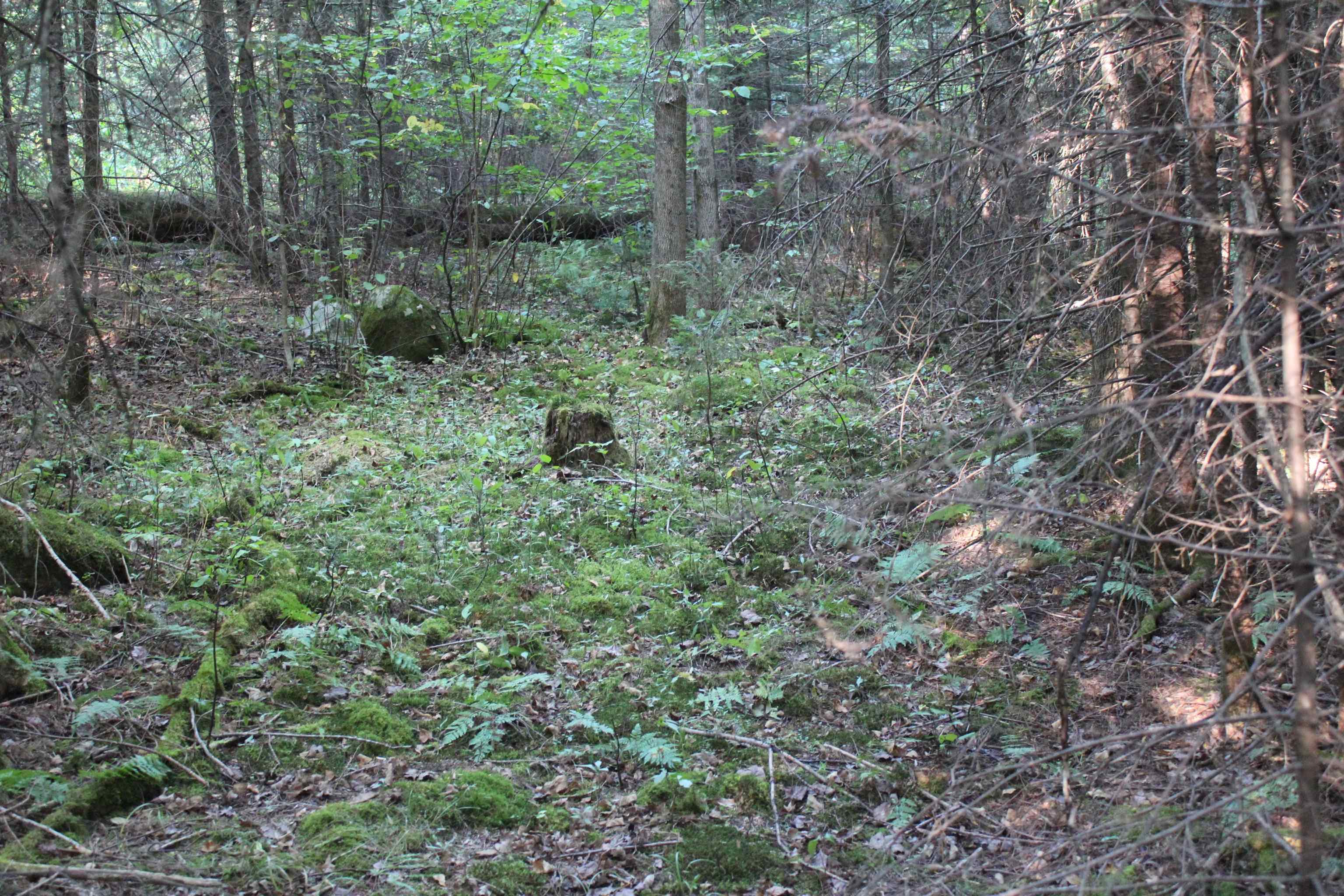 0 Miles Pond Road North Concord, VT 05858 - Photo 4 of 18