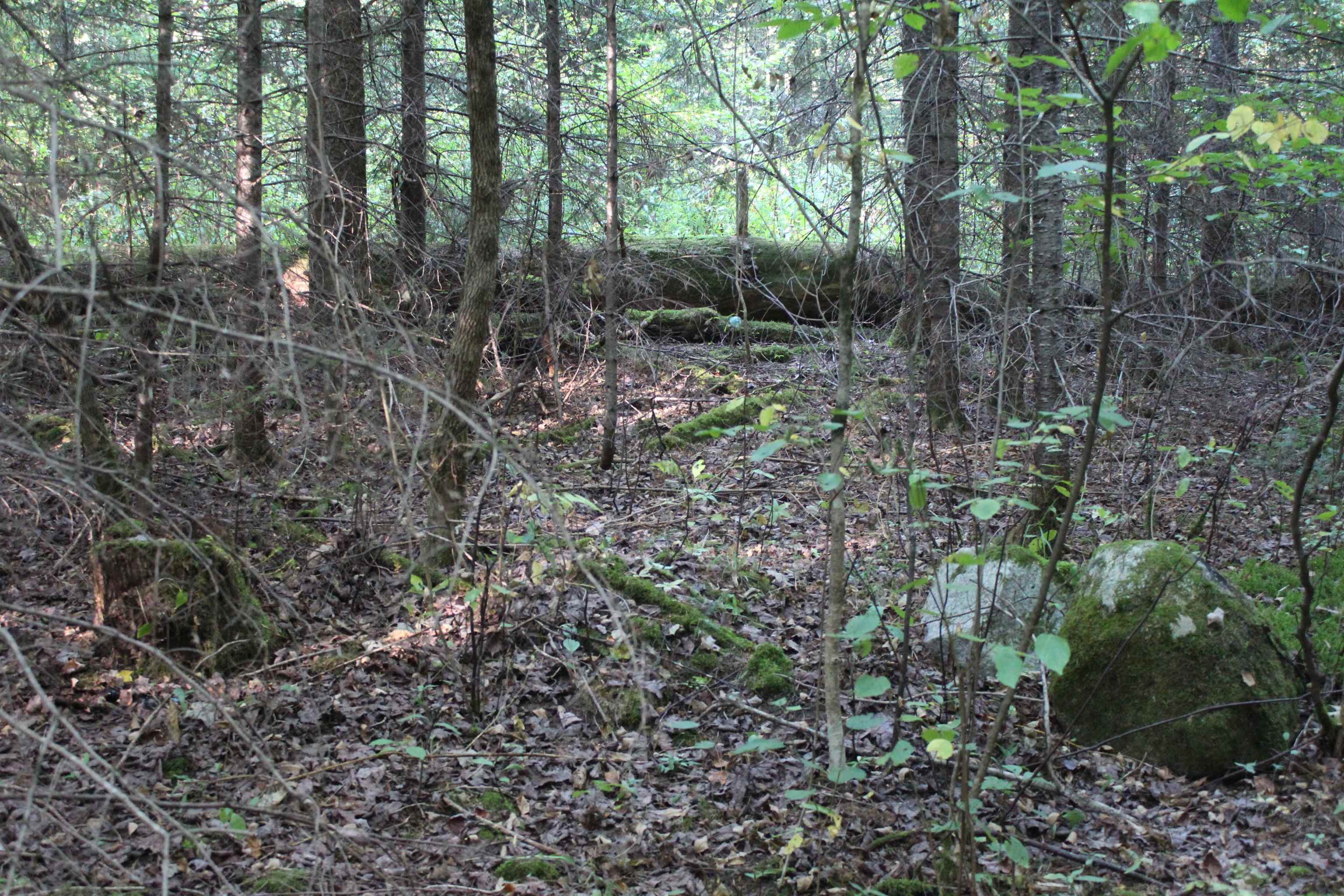 0 Miles Pond Road North Concord, VT 05858 - Photo 5 of 18
