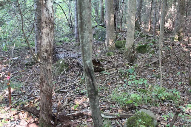 $85,000 | 0 Miles Pond Road, North Concord, VT 05858