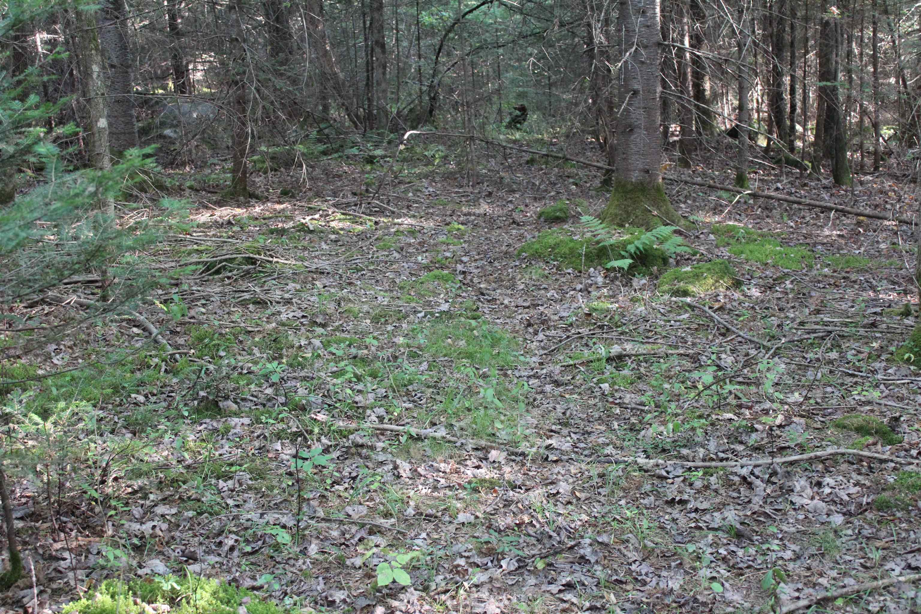0 Miles Pond Road North Concord, VT 05858 - Photo 9 of 18