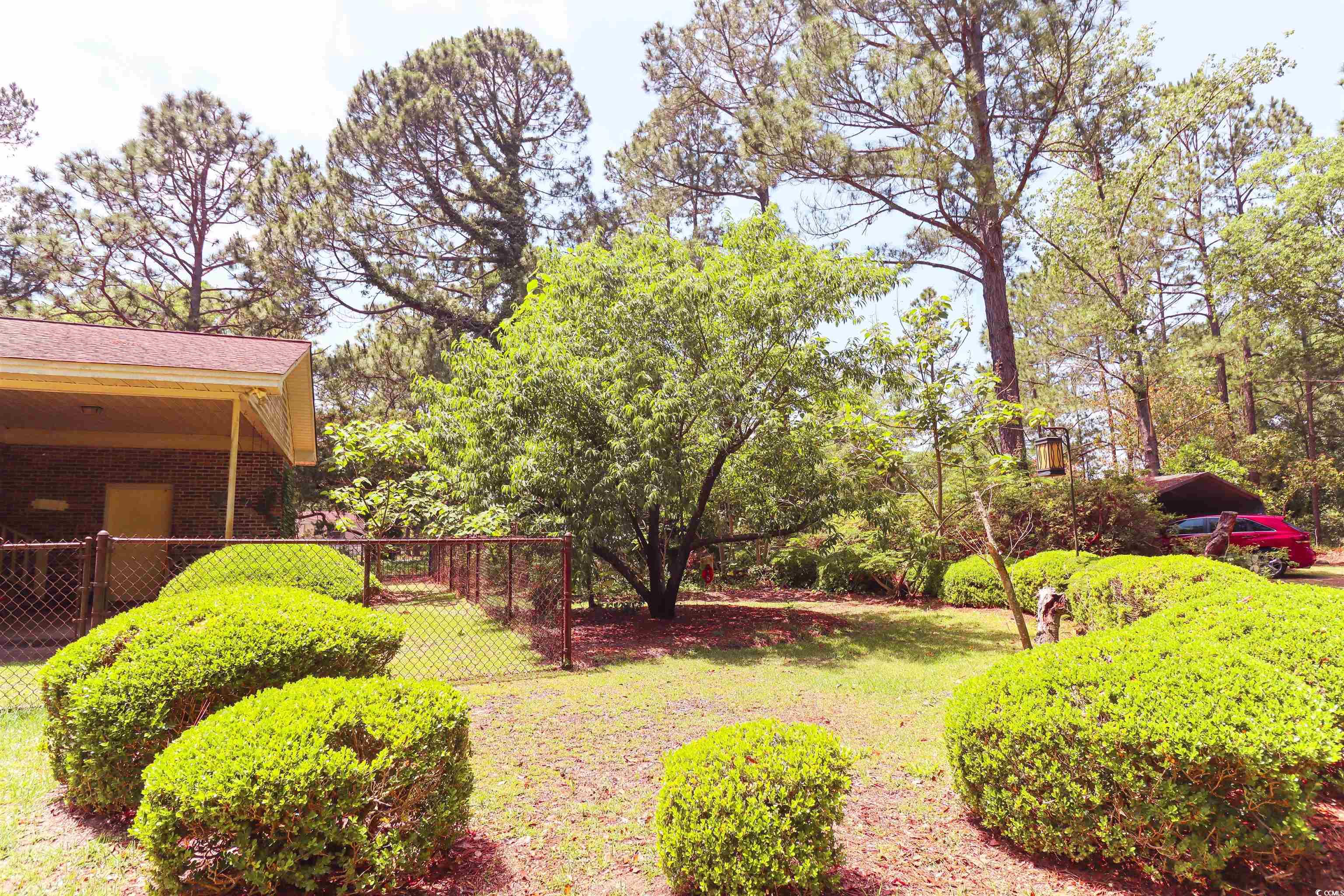 292 Goretown Loop Loris, SC 29569 - Photo 20 of 30