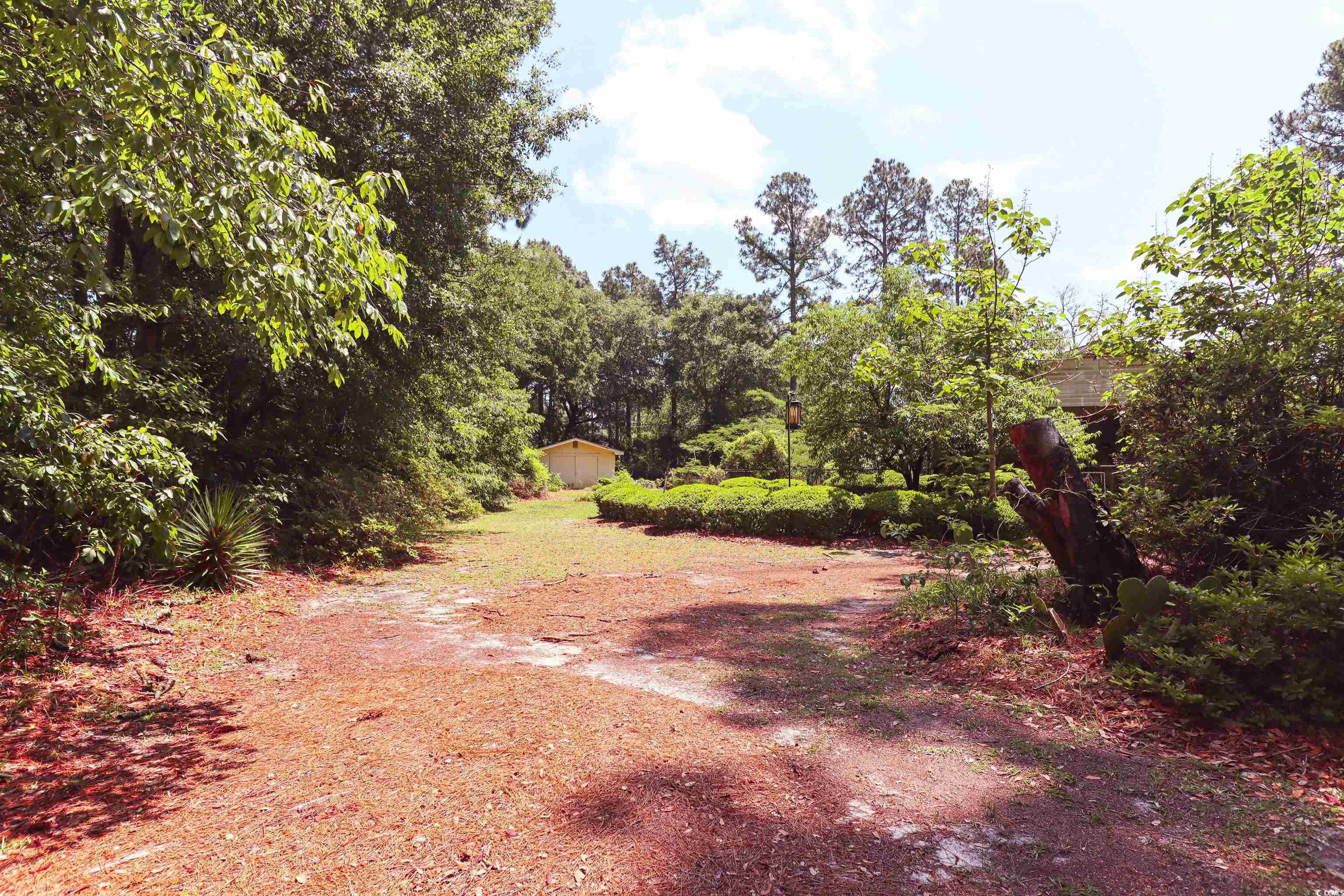 292 Goretown Loop Loris, SC 29569 - Photo 24 of 30