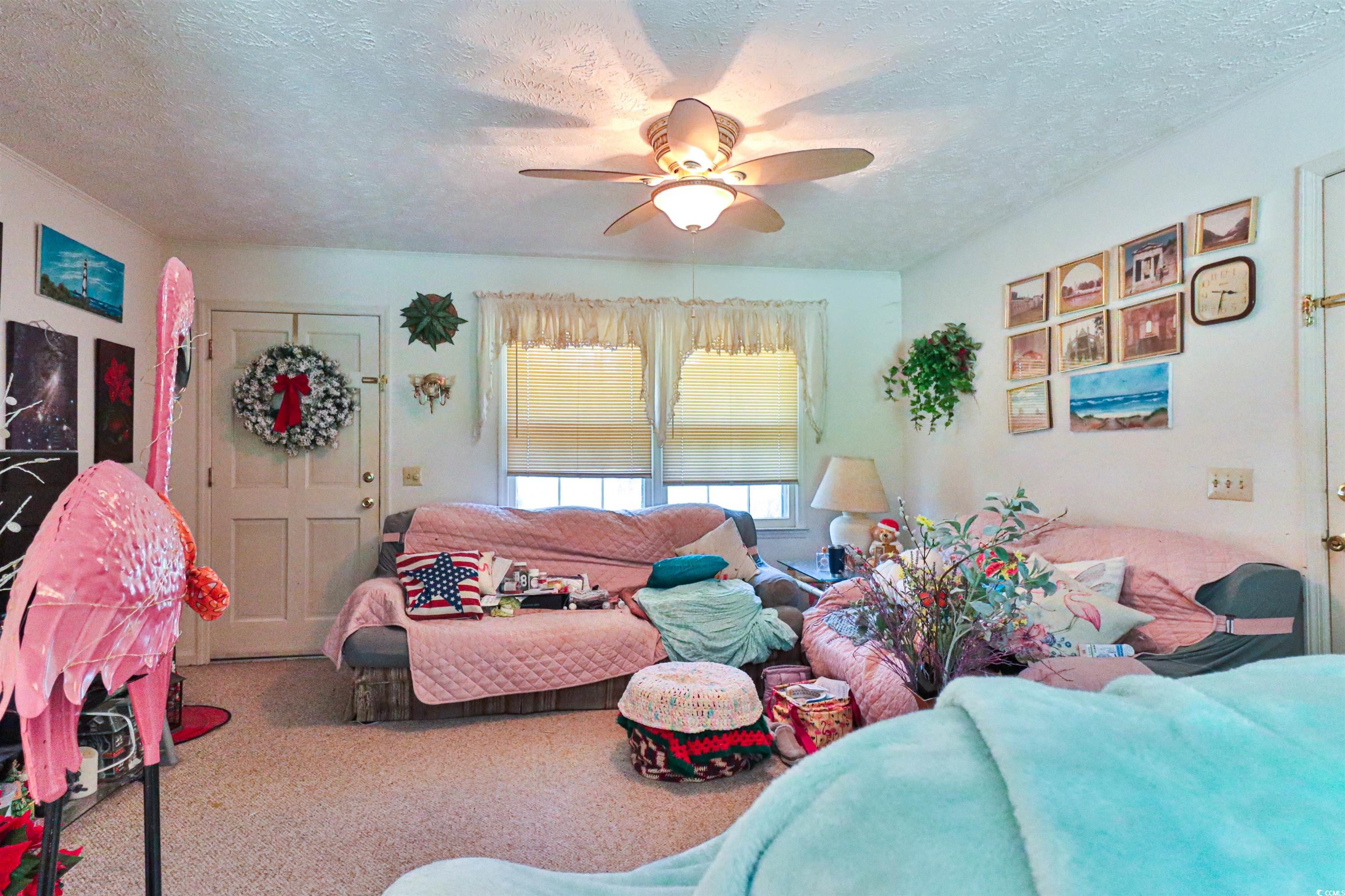 292 Goretown Loop Loris, SC 29569 - Photo 4 of 30