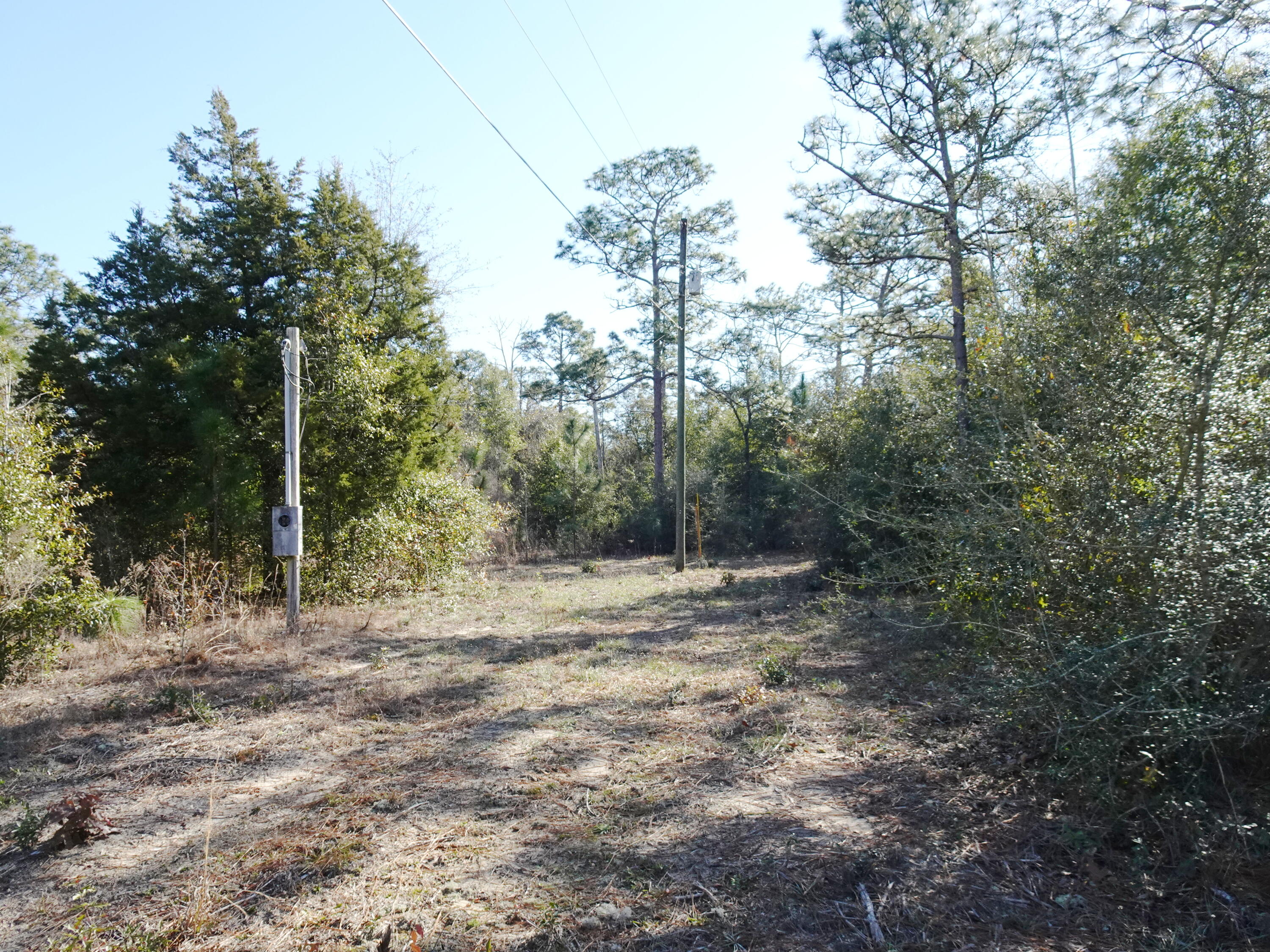 3868 King Lake Road DeFuniak Springs, FL 32433 - Photo 1 of 9 a fire hydrant in the middle of a field