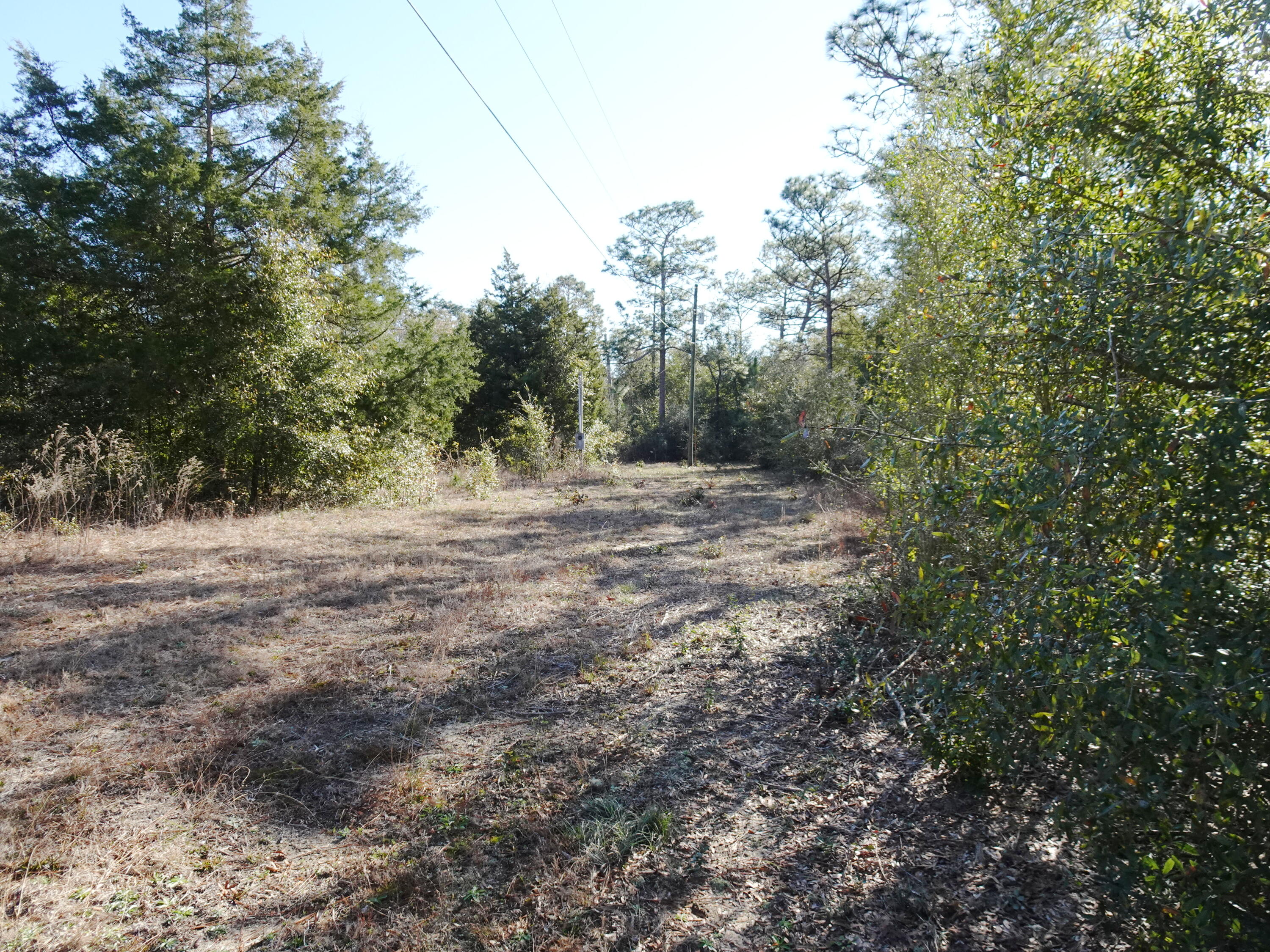 3868 King Lake Road DeFuniak Springs, FL 32433 - Photo 2 of 9 a view of dirt road with trees