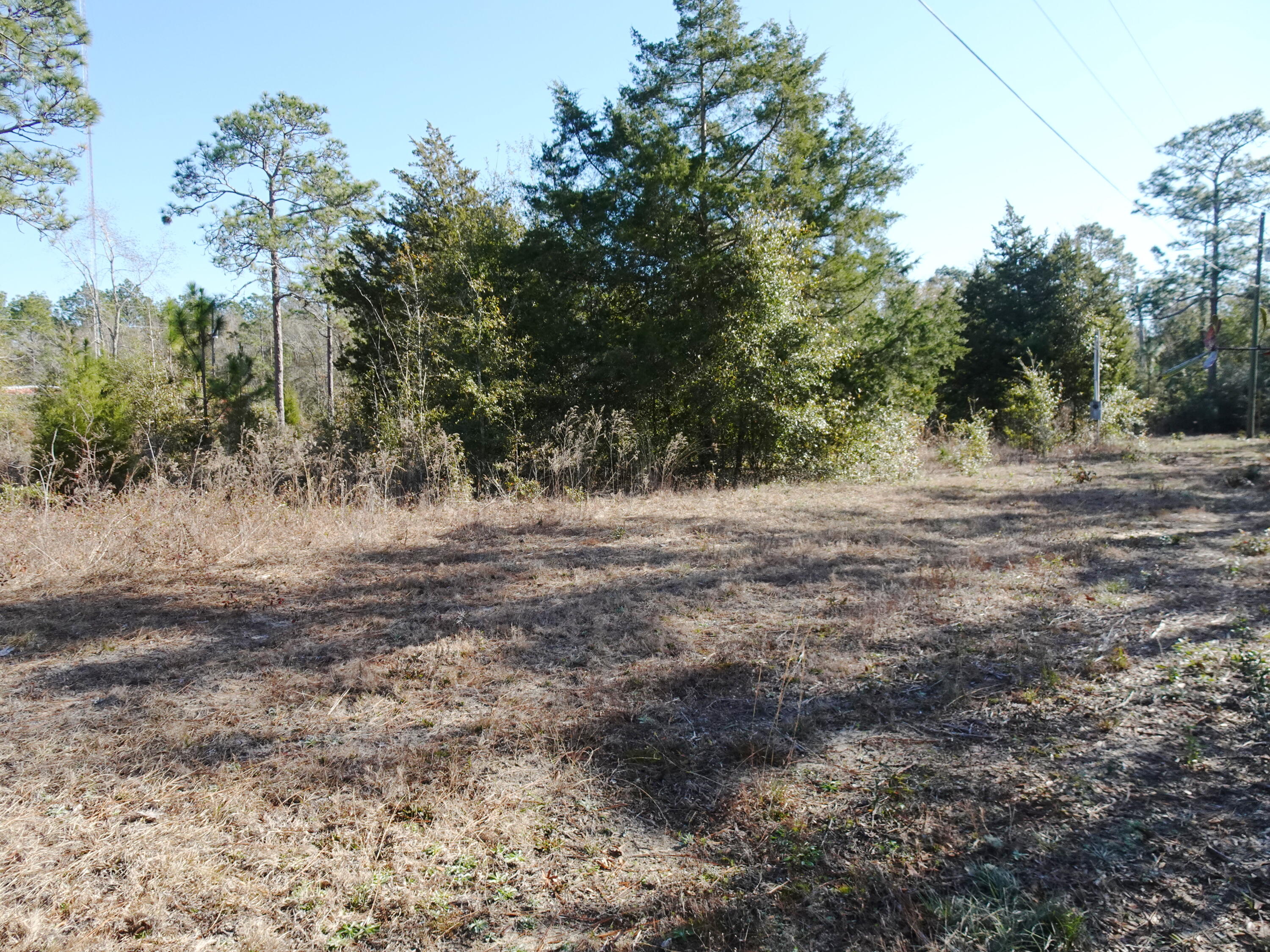 3868 King Lake Road DeFuniak Springs, FL 32433 - Photo 3 of 9 a view of dirt field with trees