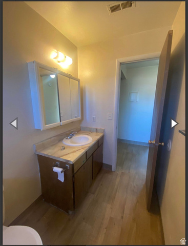 102 East Richelman Lane Wellington, UT 84542 - Photo 12 of 39 Bathroom with vanity and light wood-style floors