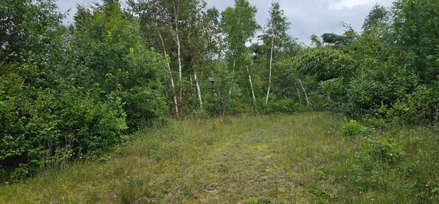 $199,000 | Tbd Sunnyside Road Southeast, Bemidji, MN 56601