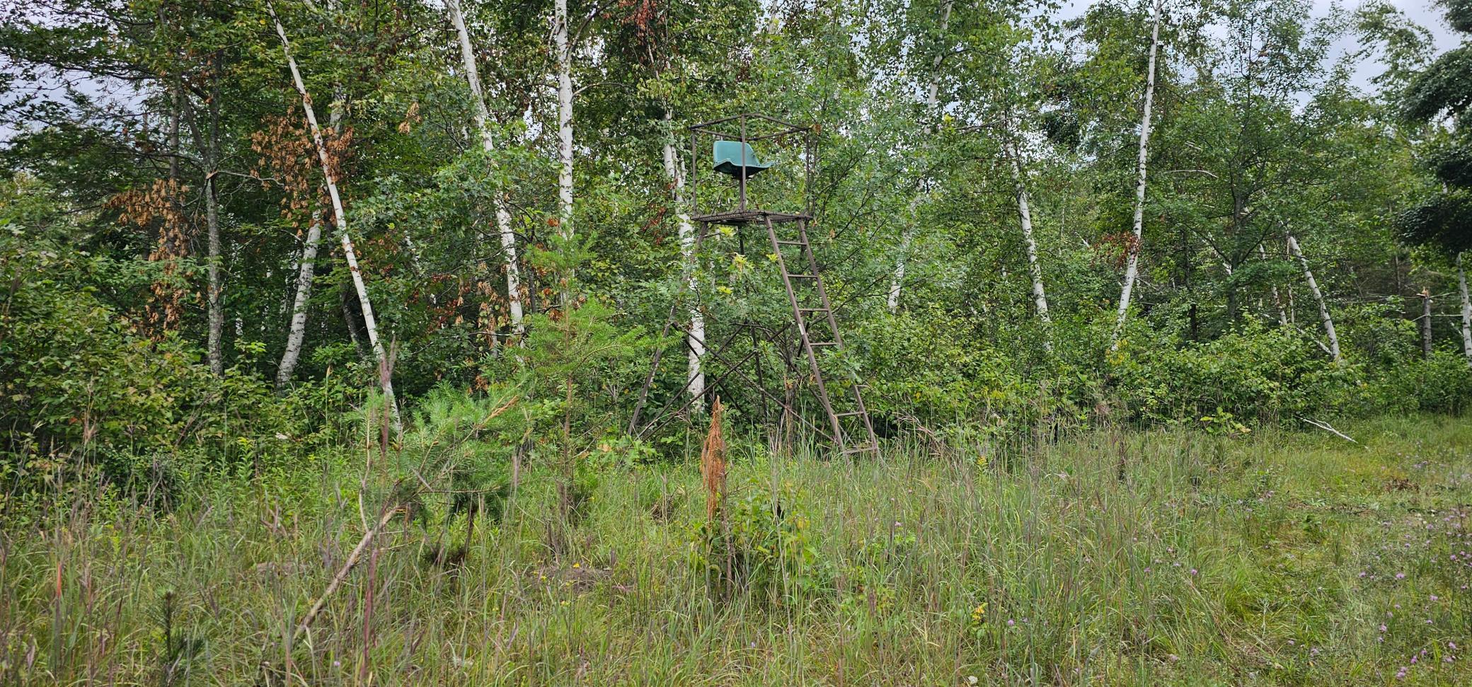 Tbd Sunnyside Road Southeast Bemidji, MN 56601 - Photo 3 of 6
