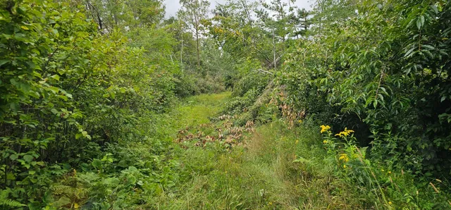 $199,000 | Tbd Sunnyside Road Southeast, Bemidji, MN 56601