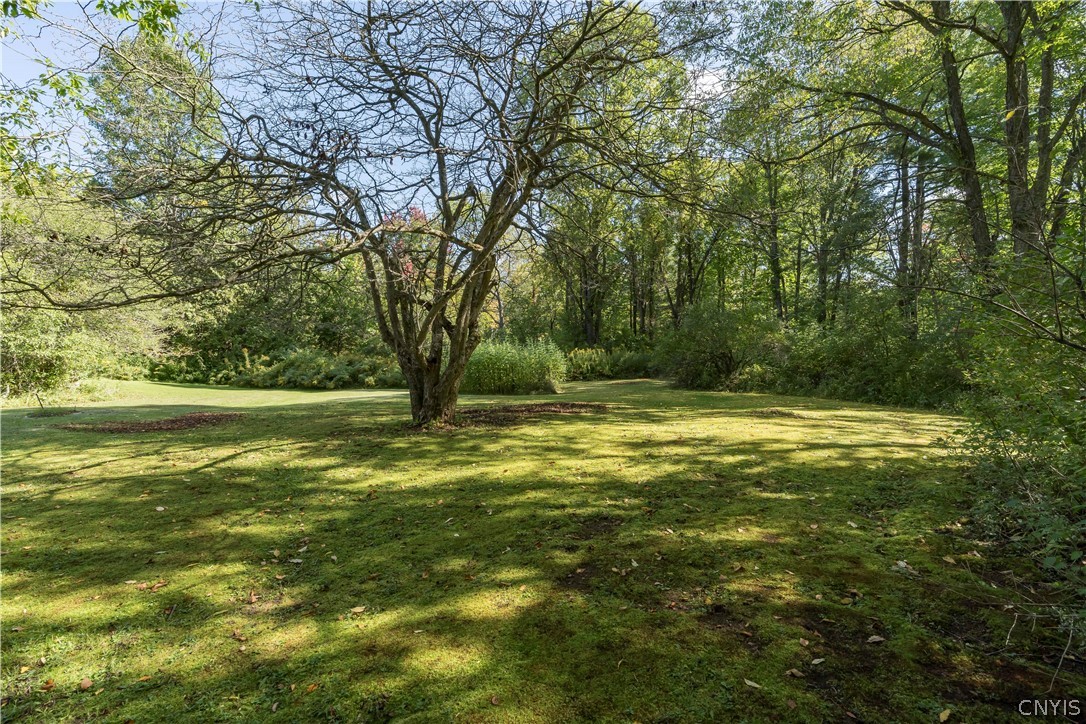 22804 Co Rt 42 Road Carthage, NY 13619 - Photo 42 of 47 Gallery Image 42