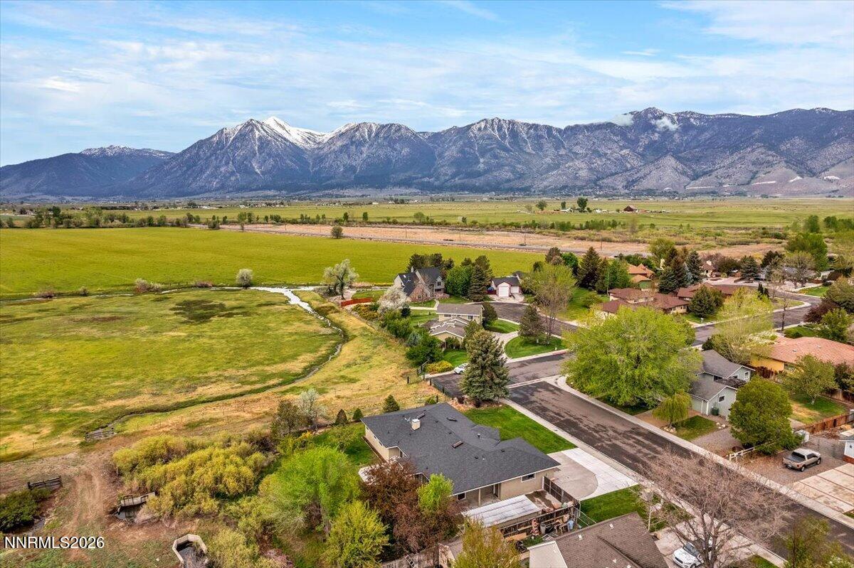 1607 Olua Street Minden, NV 89423 - Photo 73 of 75 06-DJI_0411