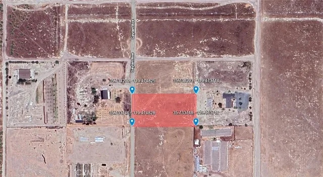 a close up of a tree