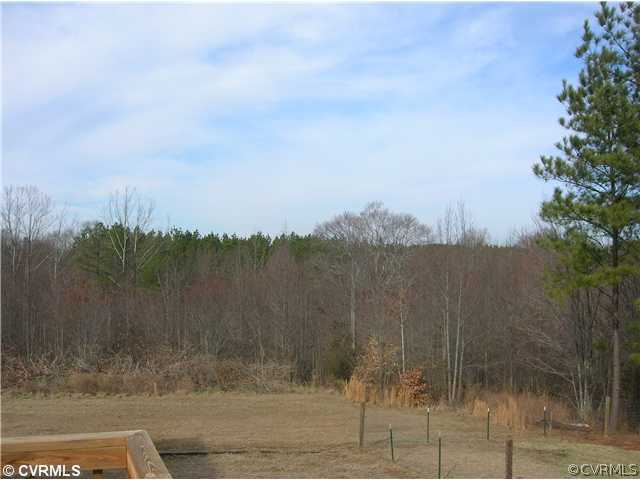 2671 Robertsons Road Blackstone, VA 23824 - Photo 4 of 12 Land - View off of Rear Deck