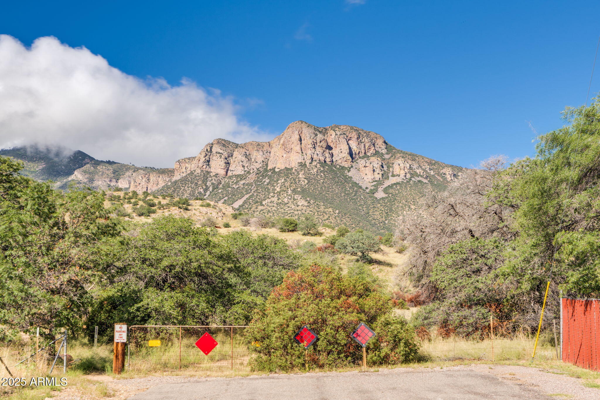 4339 East Wickersham Road Hereford, AZ 85615 - Photo 9 of 51 Bordering National Forest