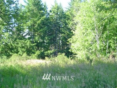 2 Southeast Arcadia Road Shelton, WA 98584 - Photo 1 of 1 Gallery Image 1