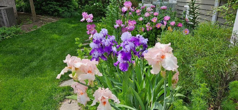 35 Walnut Circle Sugar Grove, IL 60554 - Photo 31 of 42 a view of a flower in a yard