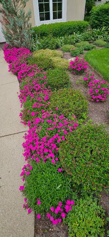 35 Walnut Circle Sugar Grove, IL 60554 - Photo 32 of 42