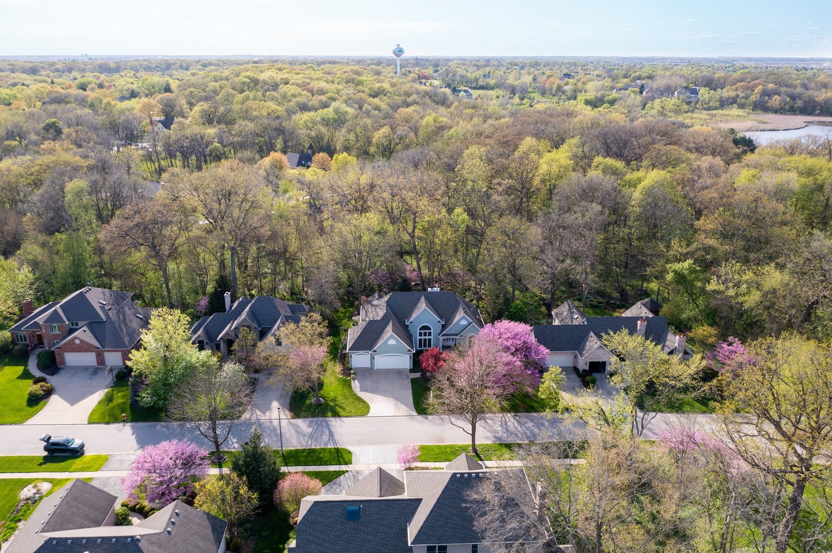 35 Walnut Circle Sugar Grove, IL 60554 - Photo 37 of 42