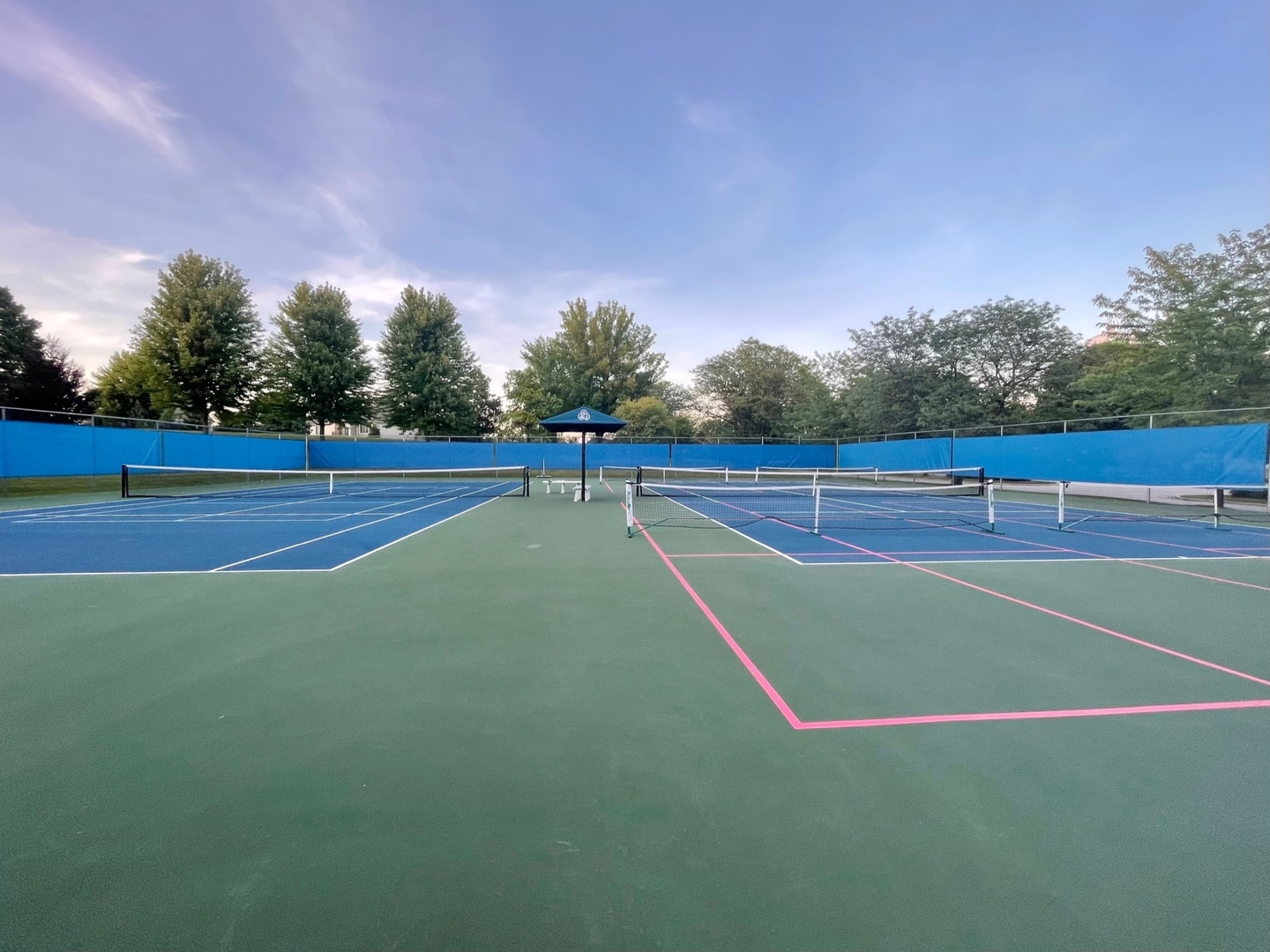 35 Walnut Circle Sugar Grove, IL 60554 - Photo 40 of 42 a view of tennis court with trees in the background