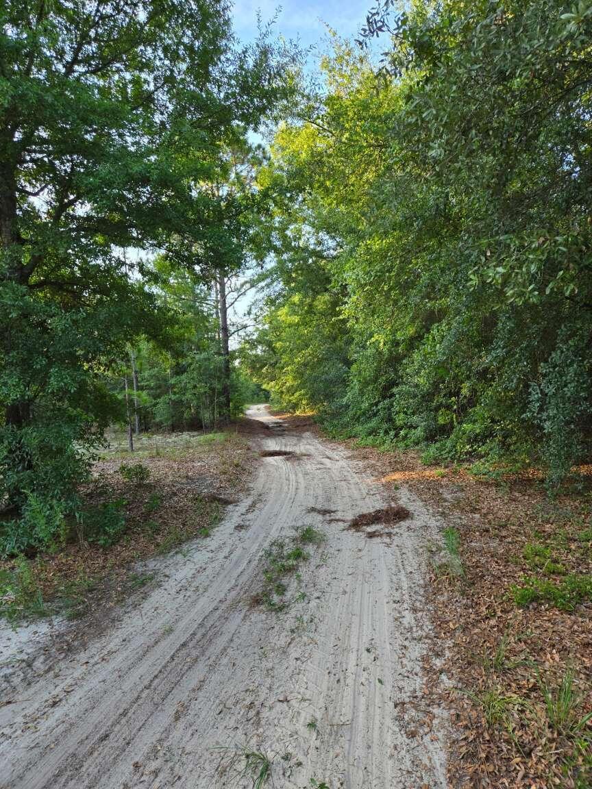 1327 Charlies Loop Williston, SC 29853 - Photo 1 of 6