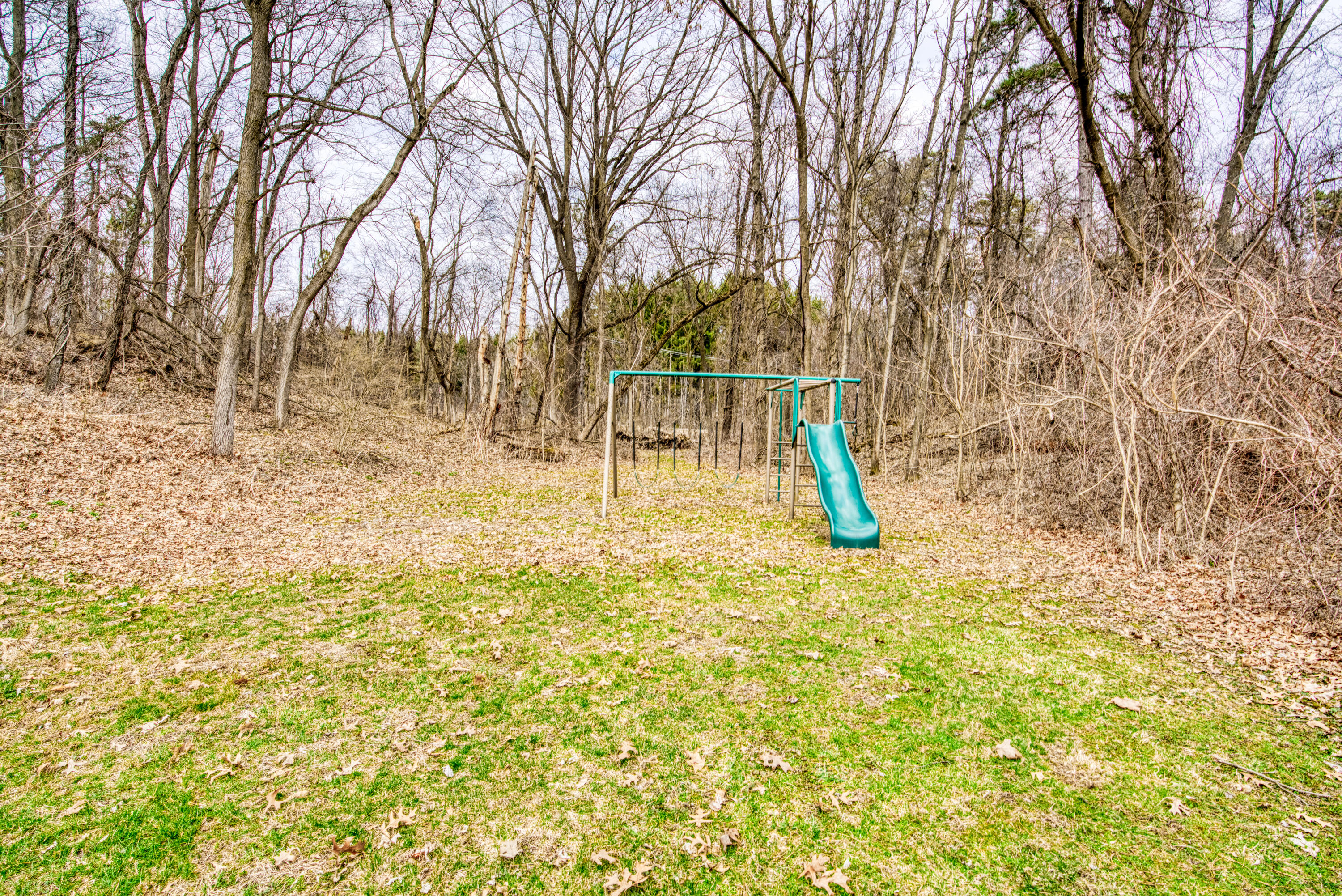 1191 Pierce Road Chelsea, MI 48118 - Photo 13 of 63 DSC07983_28