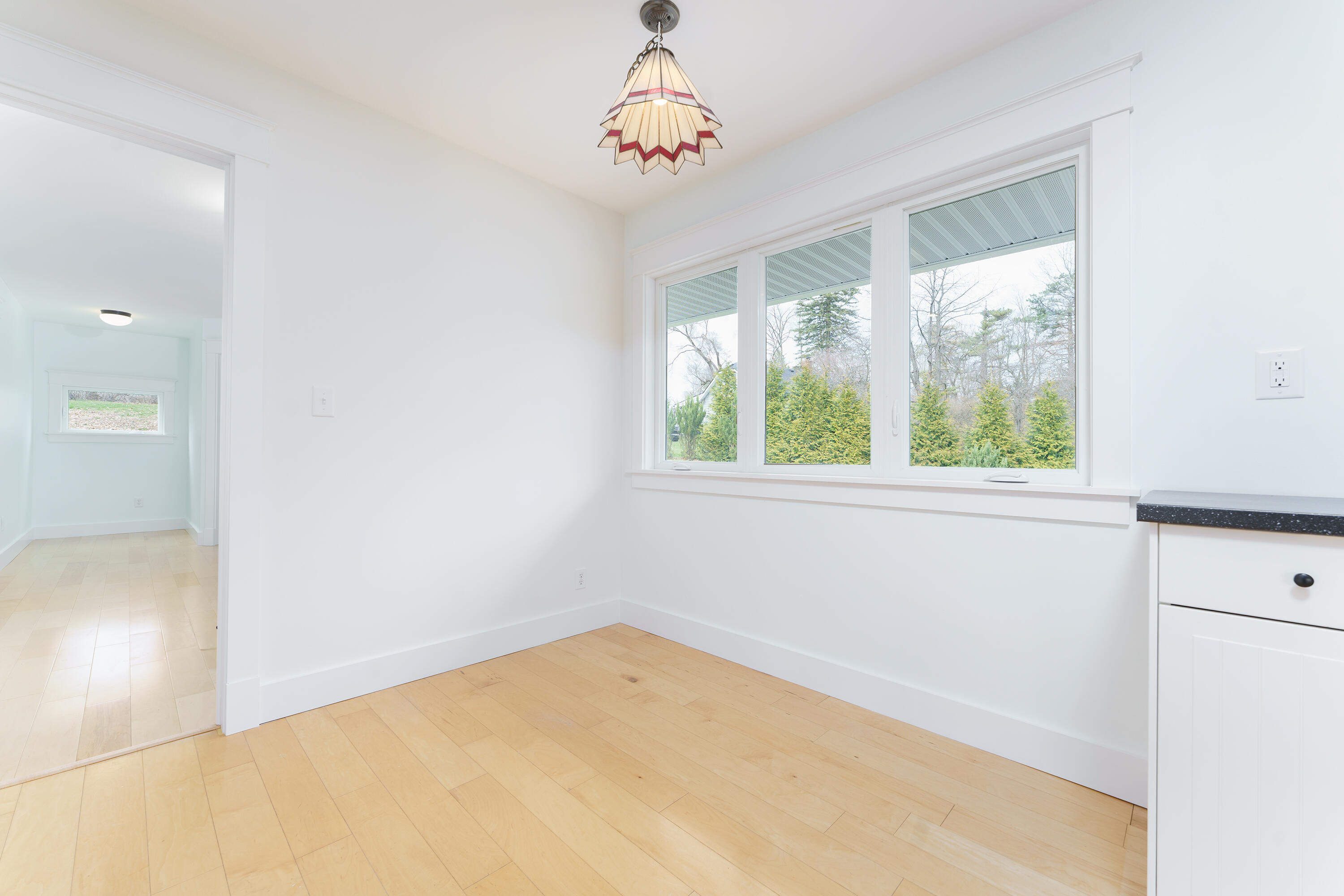 1191 Pierce Road Chelsea, MI 48118 - Photo 28 of 63 DSC07874