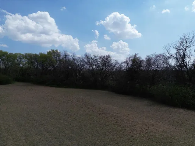 a view of a dry yard with green space