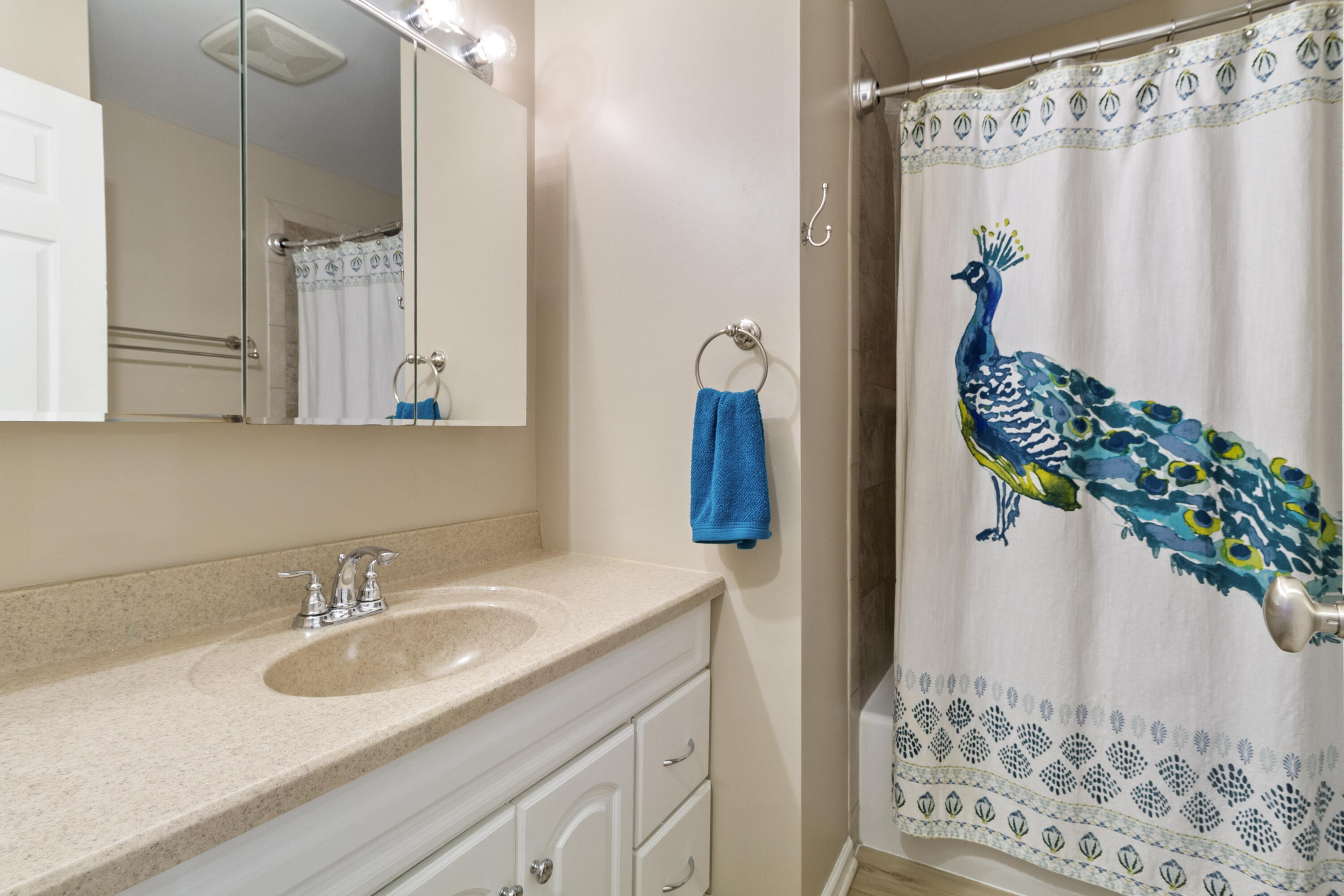 407 East Elizabeth Drive Crown Point, IN 46307 - Photo 15 of 24 a bathroom with a sink a mirror and a shower