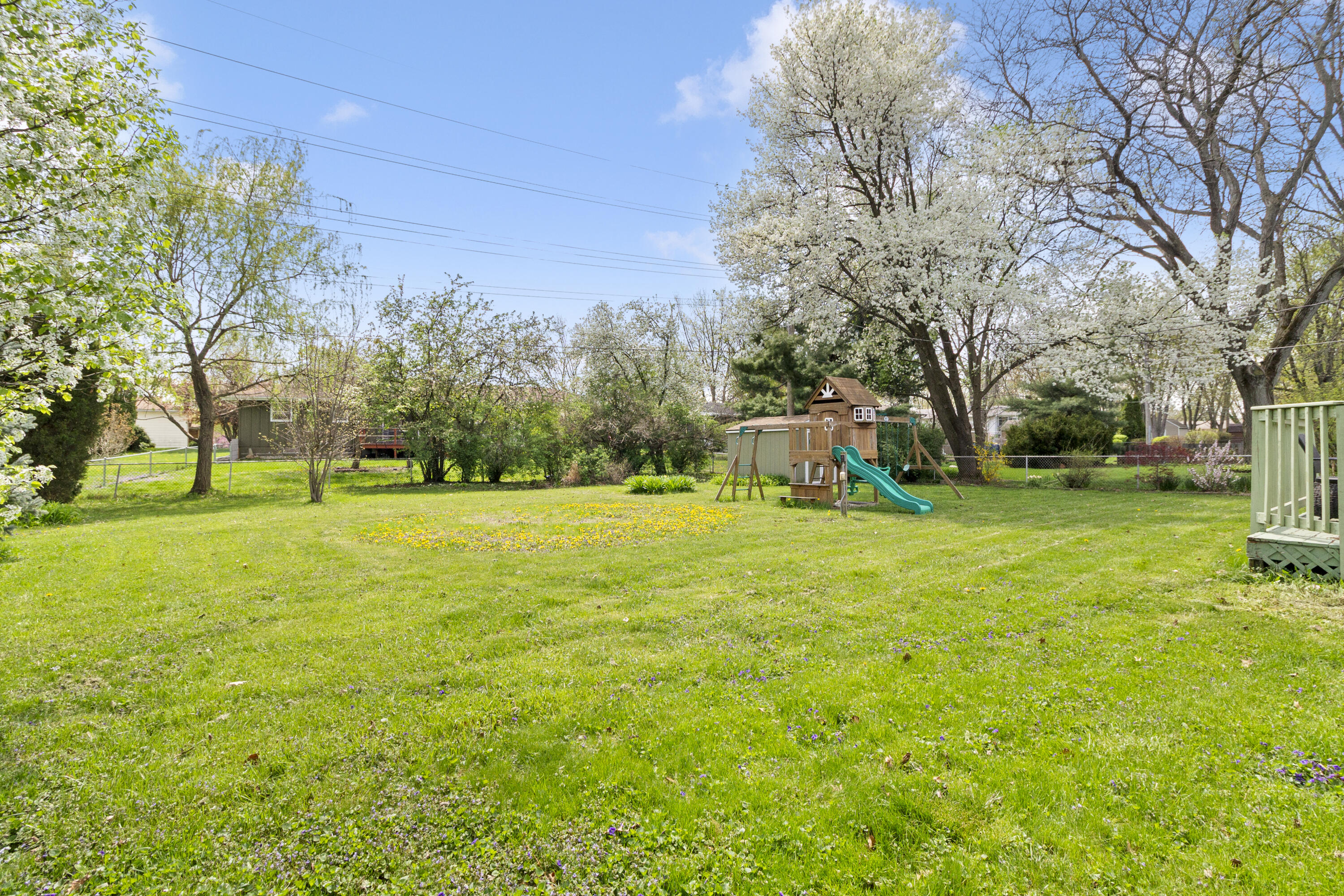 407 East Elizabeth Drive Crown Point, IN 46307 - Photo 22 of 24 a view of a park with large trees