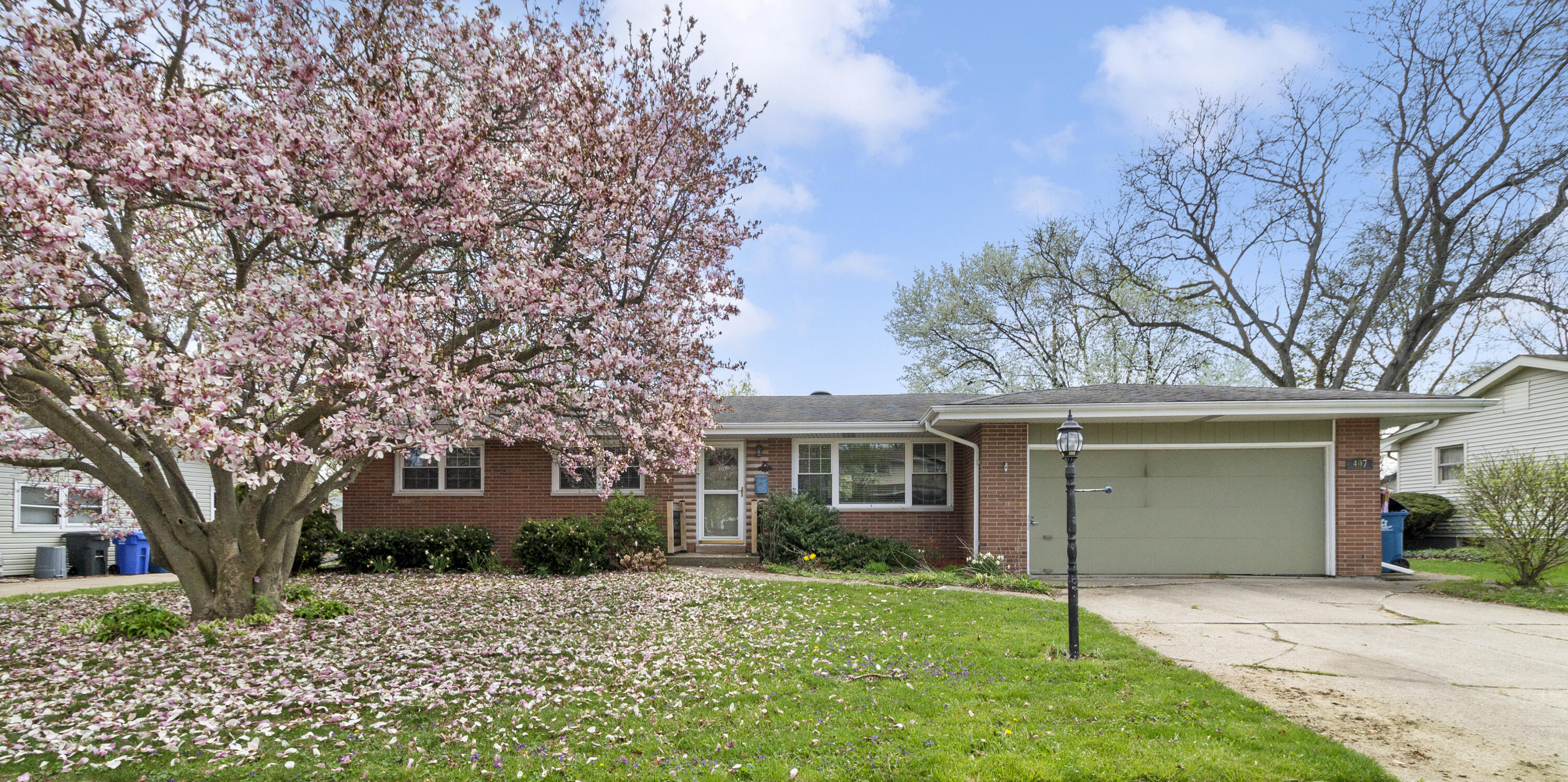 407 East Elizabeth Drive Crown Point, IN 46307 - Photo 24 of 24 front view of house with a tree
