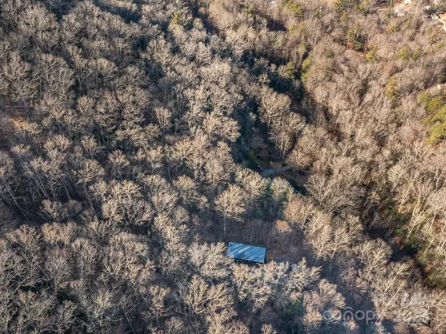 a view of a backyard with large trees and wooden fence