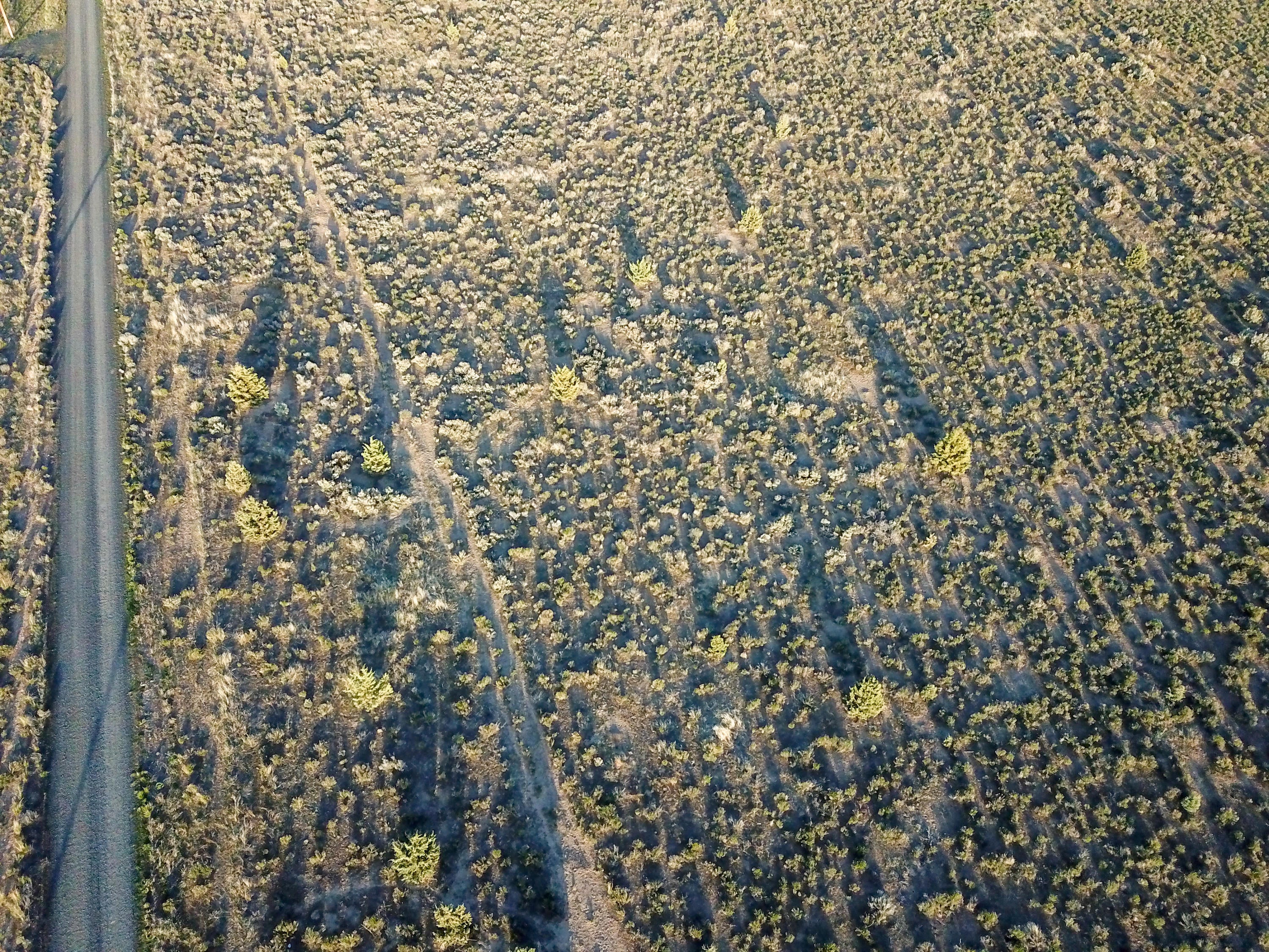 Southeast Custer Road Prineville, OR 97754 - Photo 9 of 17 DJI_0046