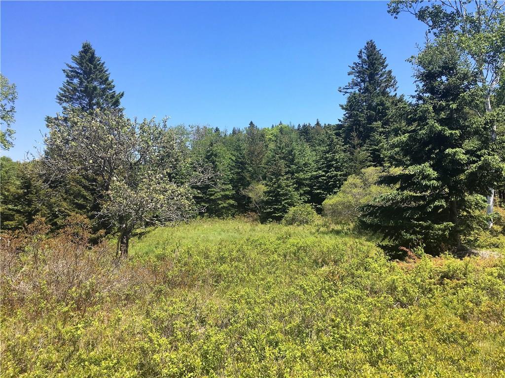 171 Minturn Road Swans Island, ME 04685 - Photo 10 of 10 Photo