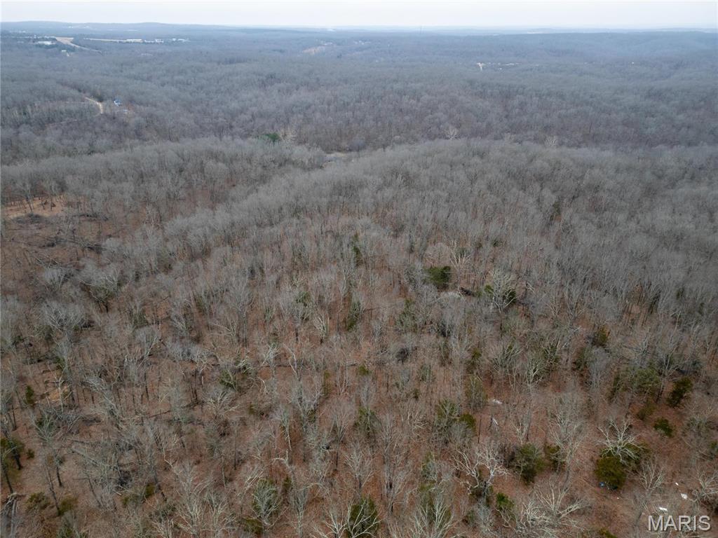 0 Raceway Road Waynesville, MO 65583 - Photo 11 of 14