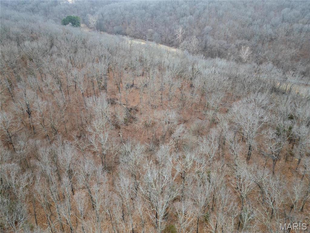 0 Raceway Road Waynesville, MO 65583 - Photo 2 of 14