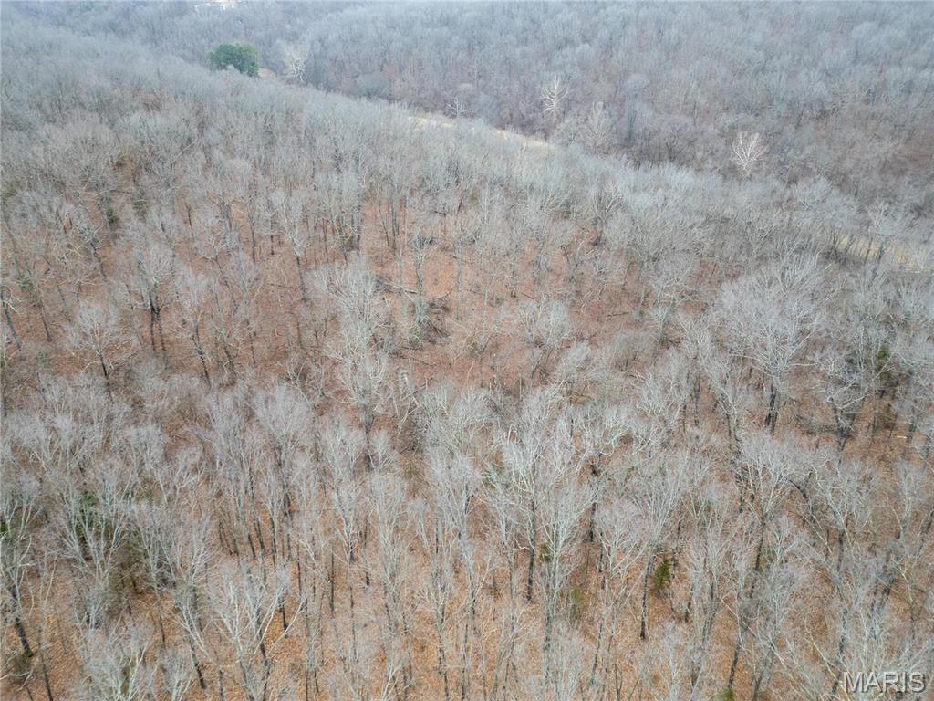 0 Raceway Road Waynesville, MO 65583 - Photo 3 of 14