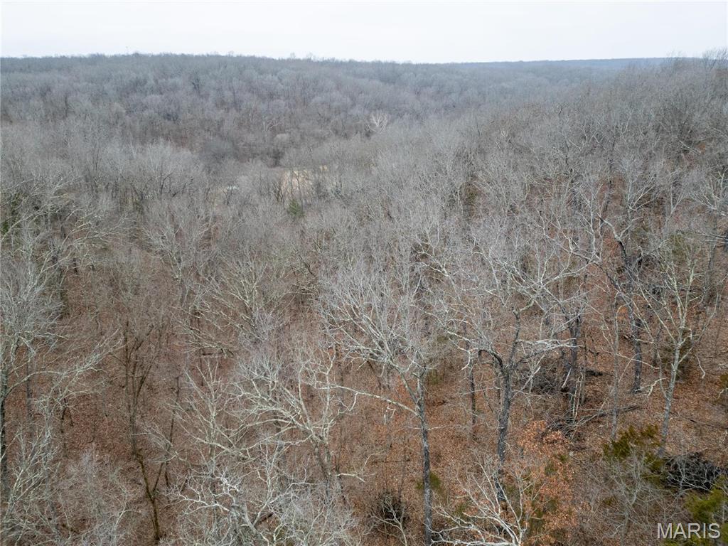 0 Raceway Road Waynesville, MO 65583 - Photo 4 of 14