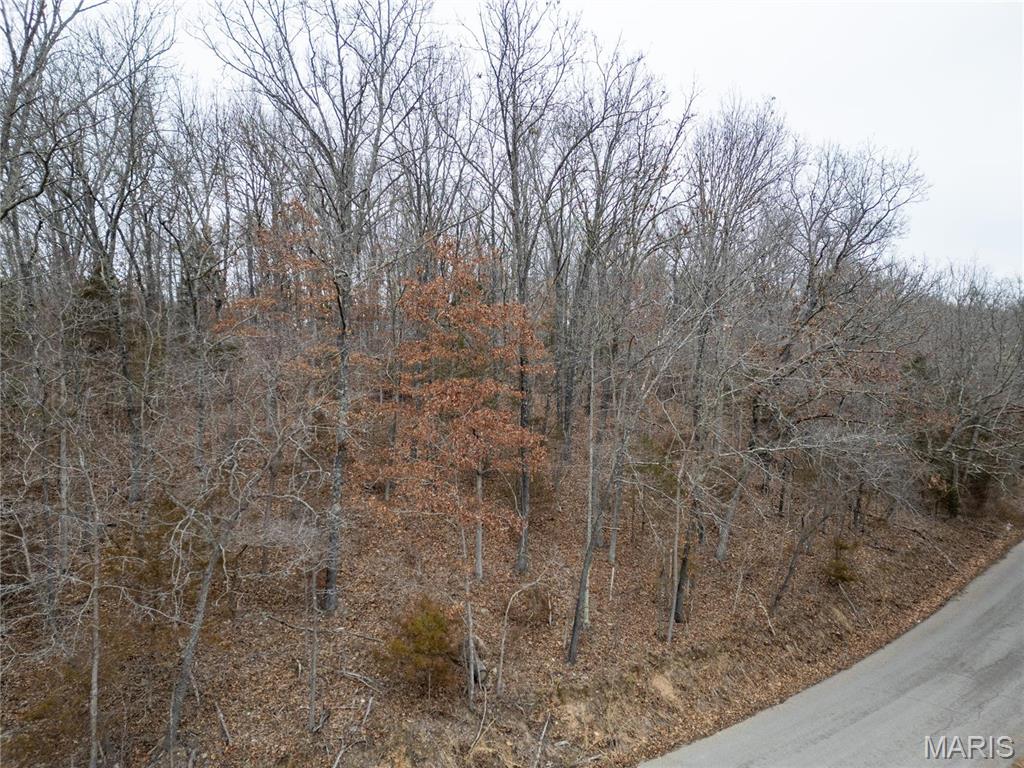 0 Raceway Road Waynesville, MO 65583 - Photo 5 of 14