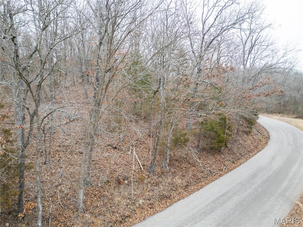 0 Raceway Road Waynesville, MO 65583 - Photo 6 of 14