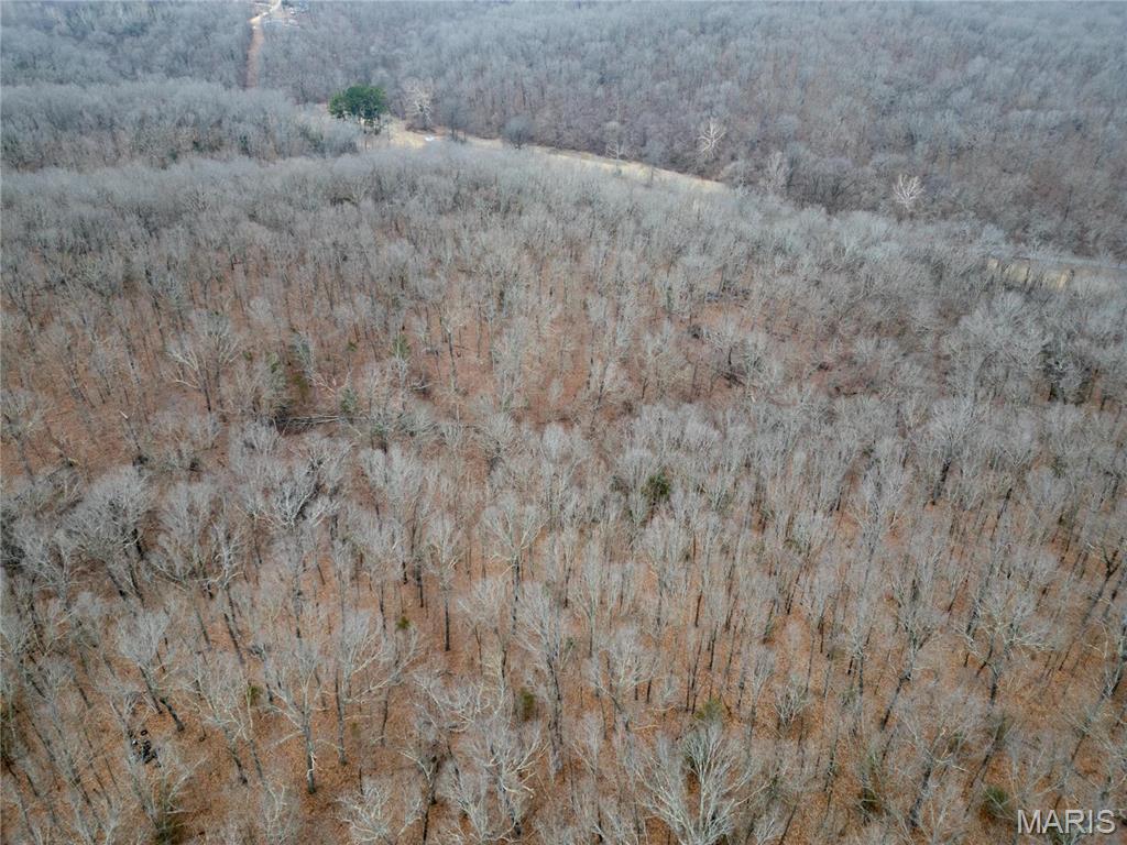 0 Raceway Road Waynesville, MO 65583 - Photo 10 of 14